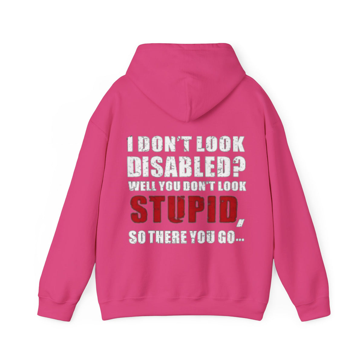 Adult Hoodie — “I Don’t Look Disabled? When You Don’t Look STUPID” Graphic Back Print