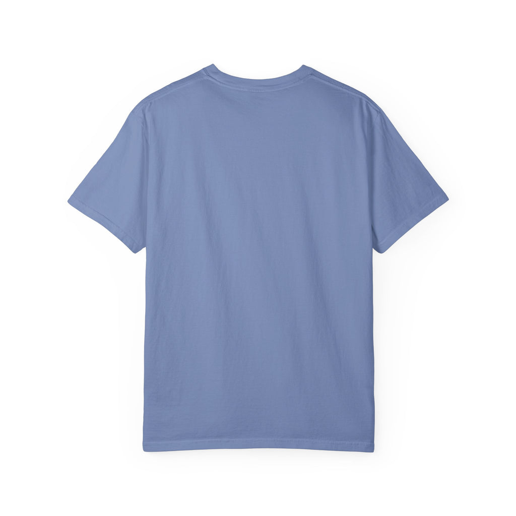 It Seemed A Good Idea At The Time Adult T-Shirt