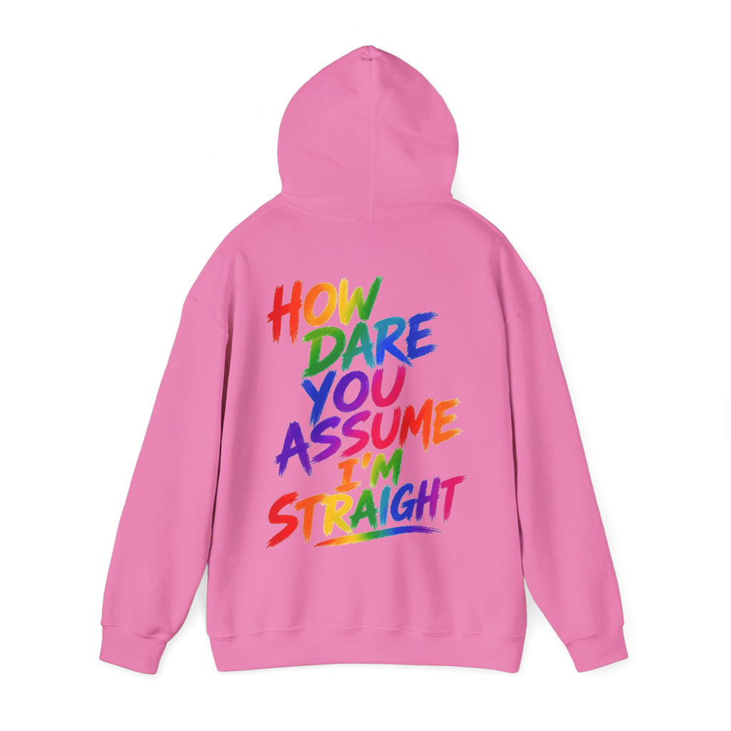How Dare You Assume I'm Straight Adult Hoodie — Rainbow Pride Statement Sweatshirt