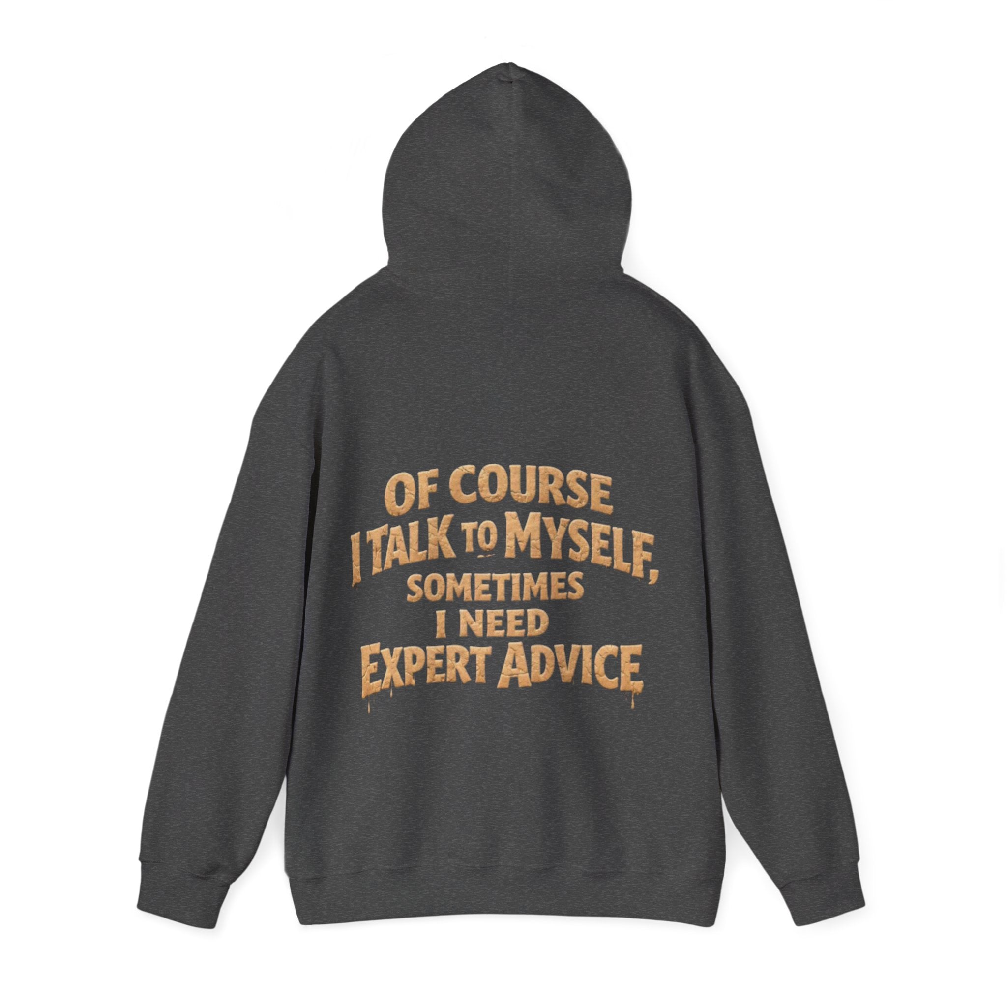 Funny "I Talk to Myself" Adult Hoodie — Expert Advice Graphic Sweatshirt