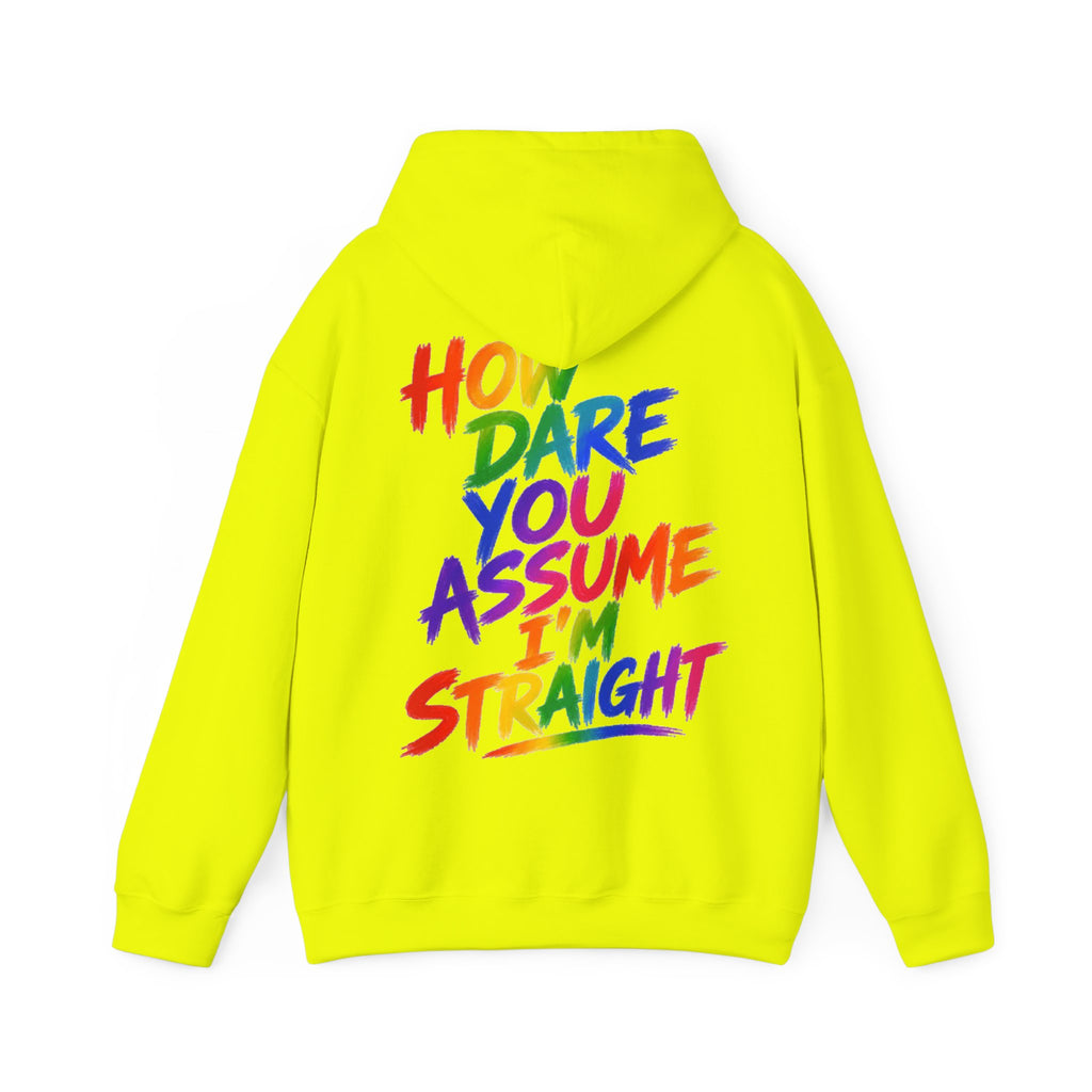 How Dare You Assume I'm Straight Adult Hoodie — Rainbow Pride Statement Sweatshirt