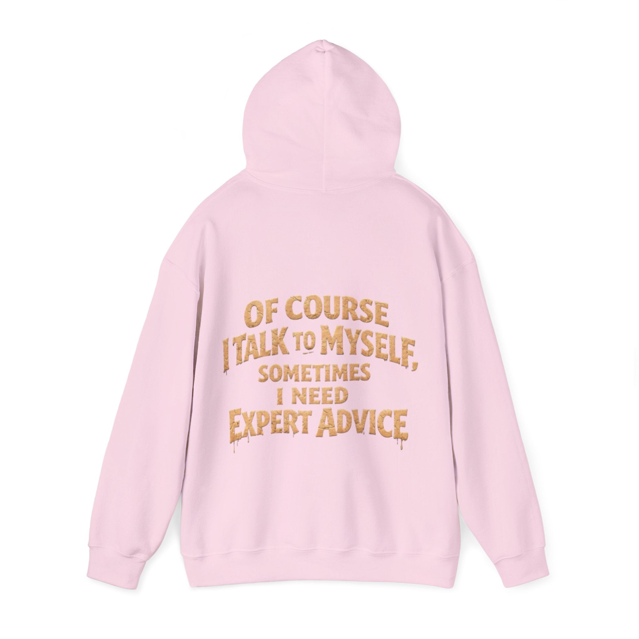Funny "I Talk to Myself" Adult Hoodie — Expert Advice Graphic Sweatshirt