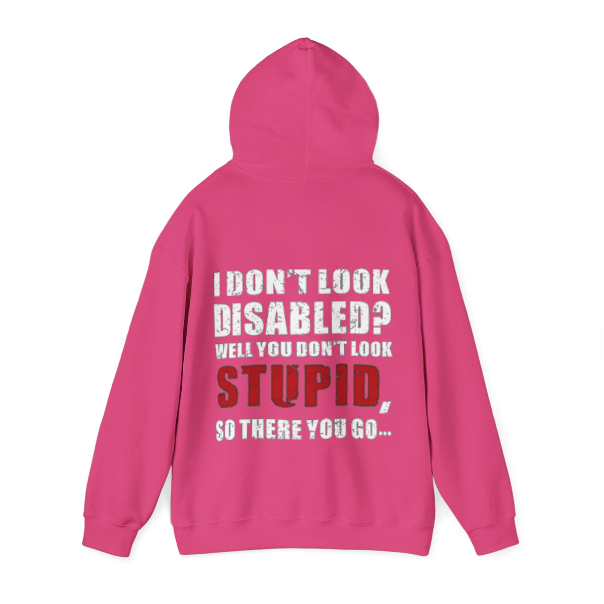 Adult Hoodie — “I Don’t Look Disabled? When You Don’t Look STUPID” Graphic Back Print