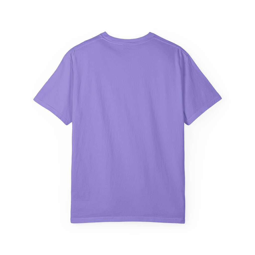 It Seemed A Good Idea At The Time Adult T-Shirt