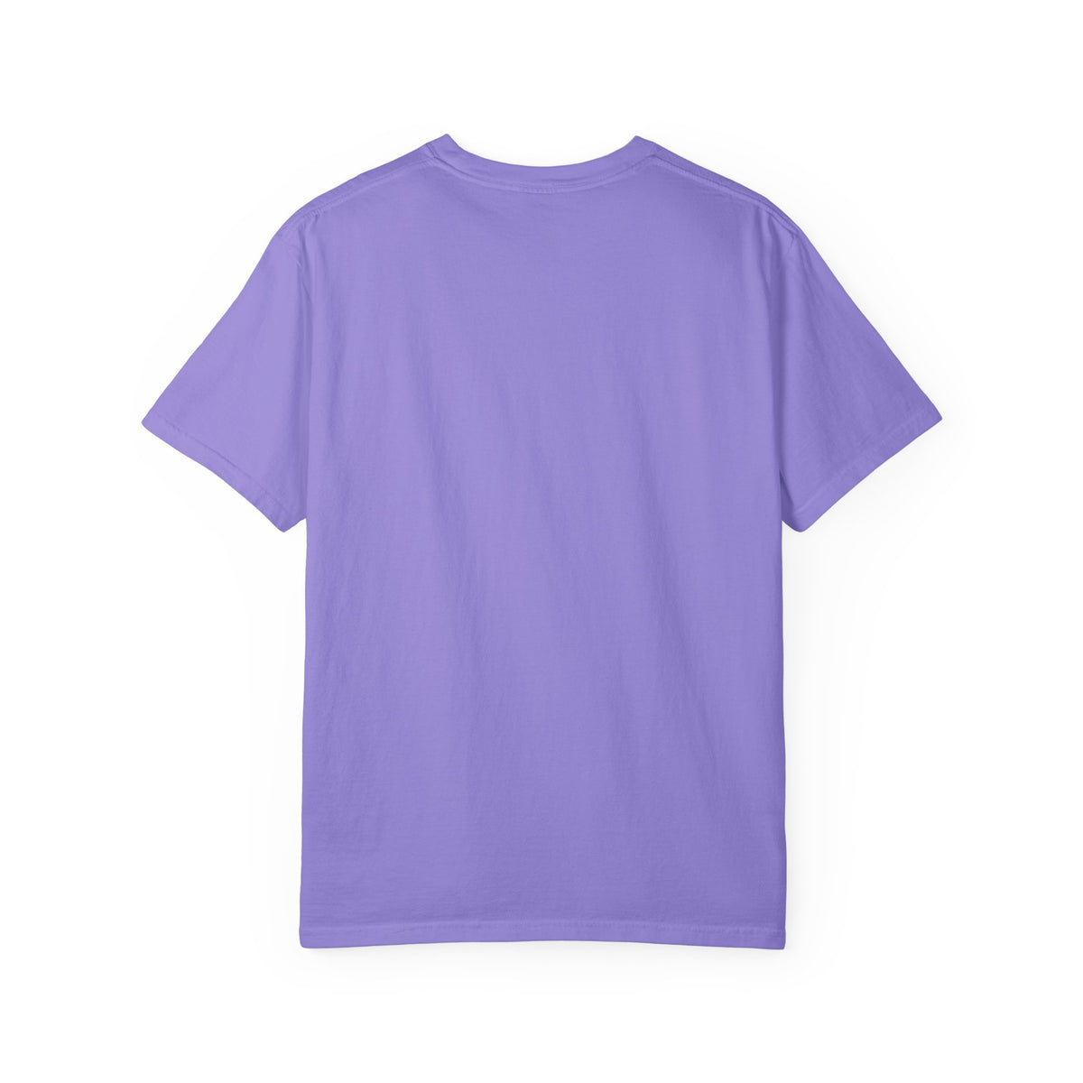 It Seemed A Good Idea At The Time Adult T-Shirt