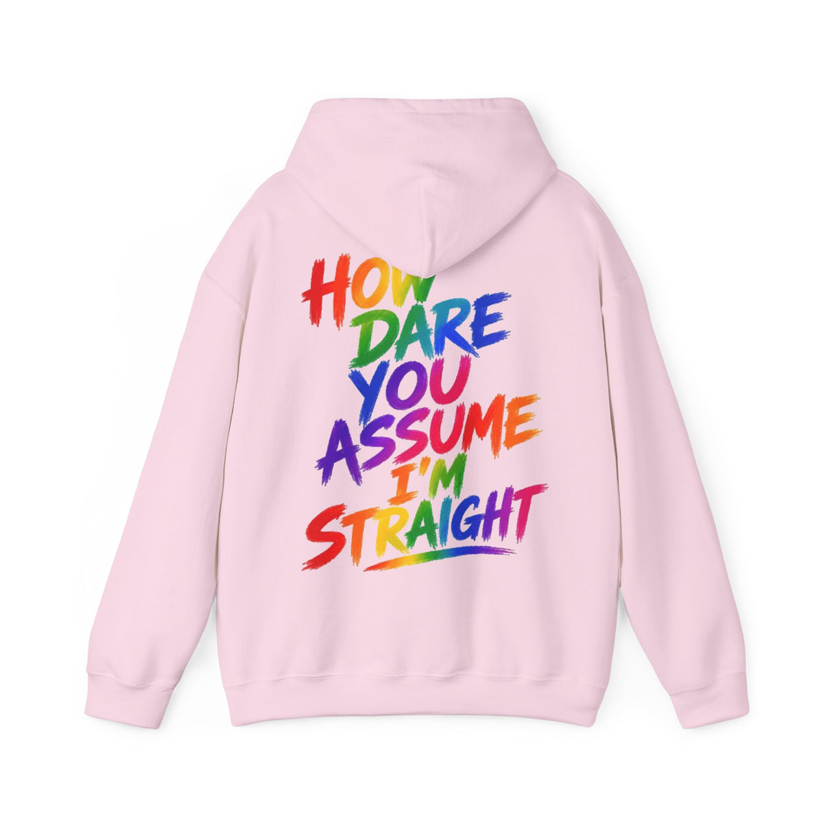 How Dare You Assume I'm Straight Adult Hoodie — Rainbow Pride Statement Sweatshirt