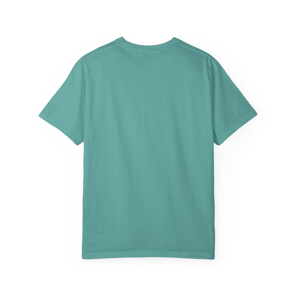 It Seemed A Good Idea At The Time Adult T-Shirt