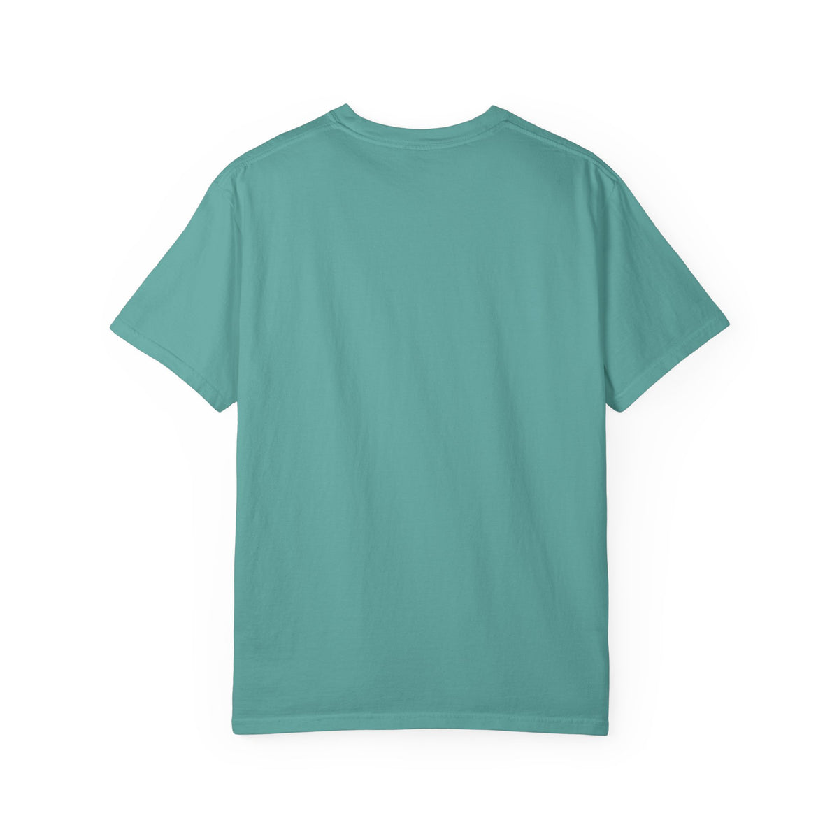 It Seemed A Good Idea At The Time Adult T-Shirt