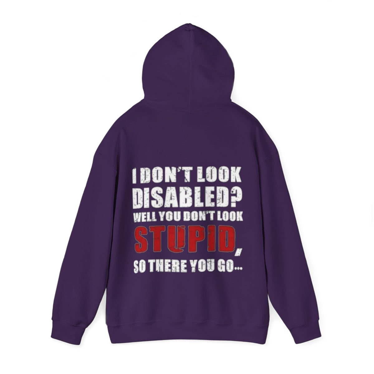 Adult Hoodie — “I Don’t Look Disabled? When You Don’t Look STUPID” Graphic Back Print