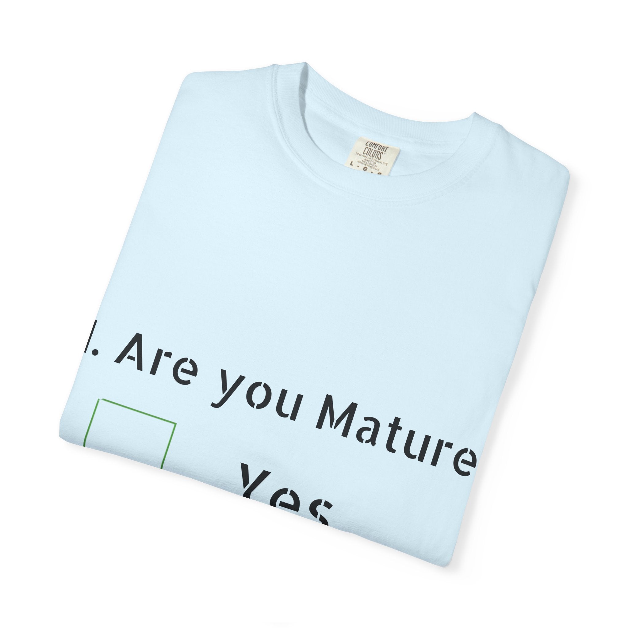 Adult T-Shirt — Funny "Are You Mature?" Checkbox Graphic Tee