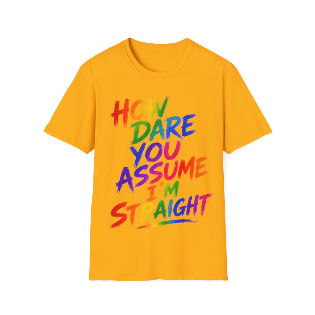 How Dare You Assume I’m Straight Adult T-Shirt — Rainbow Pride Graphic Tee