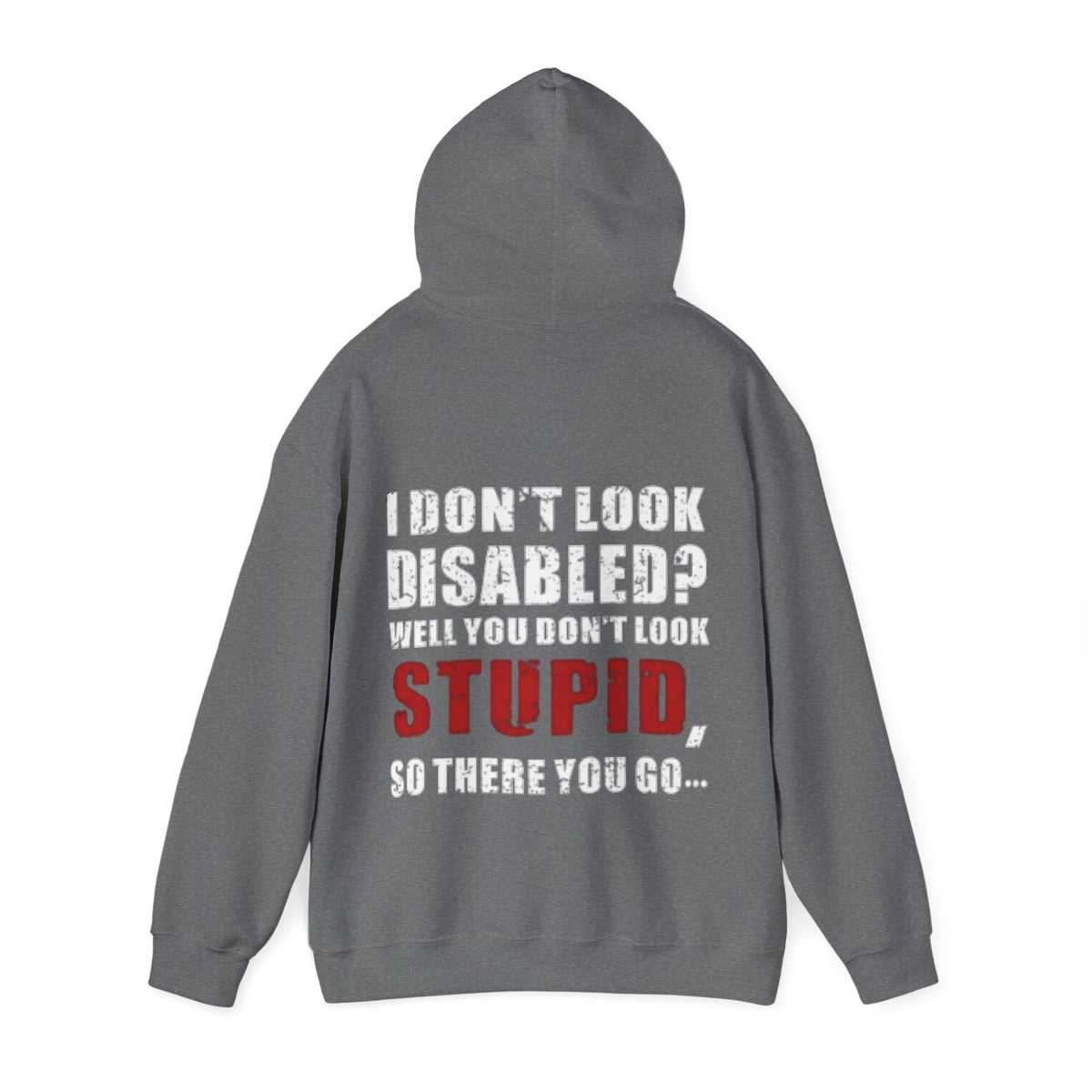 Adult Hoodie — “I Don’t Look Disabled? When You Don’t Look STUPID” Graphic Back Print