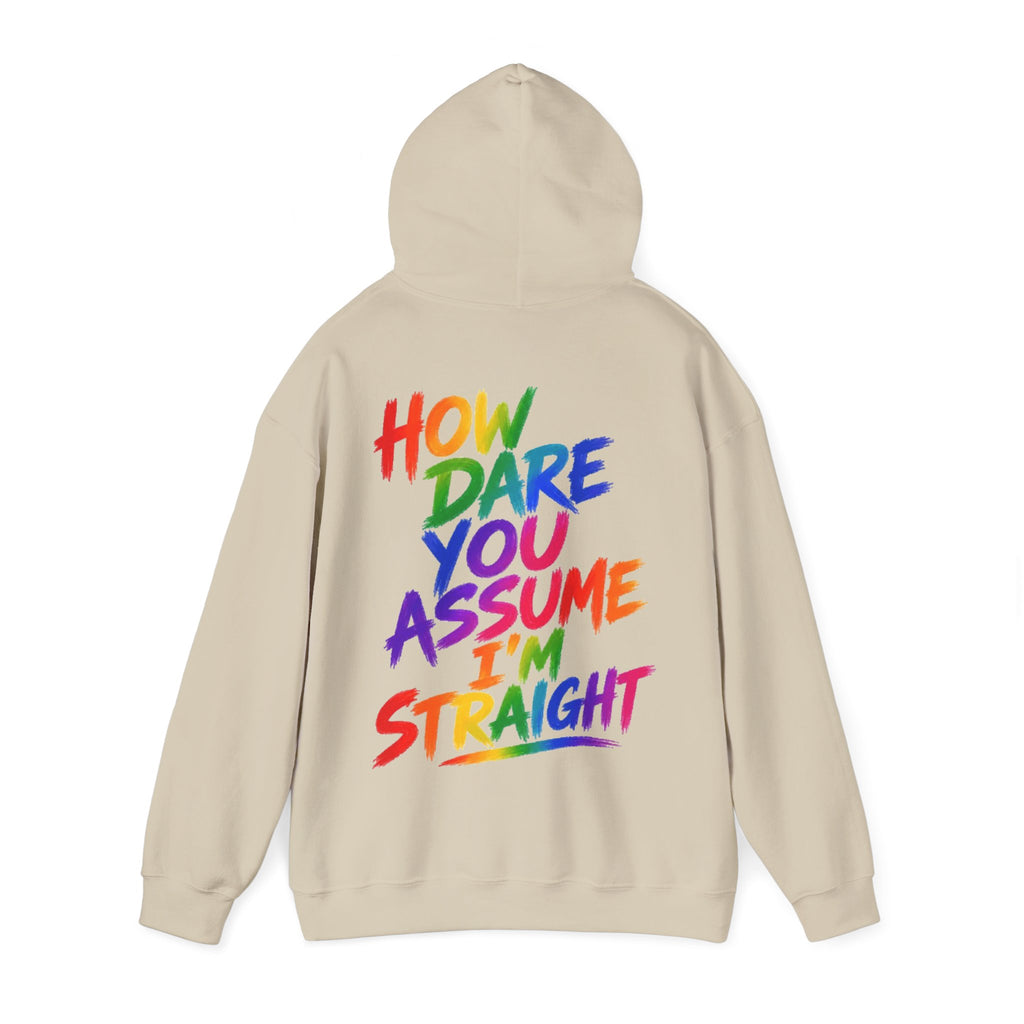 How Dare You Assume I'm Straight Adult Hoodie — Rainbow Pride Statement Sweatshirt
