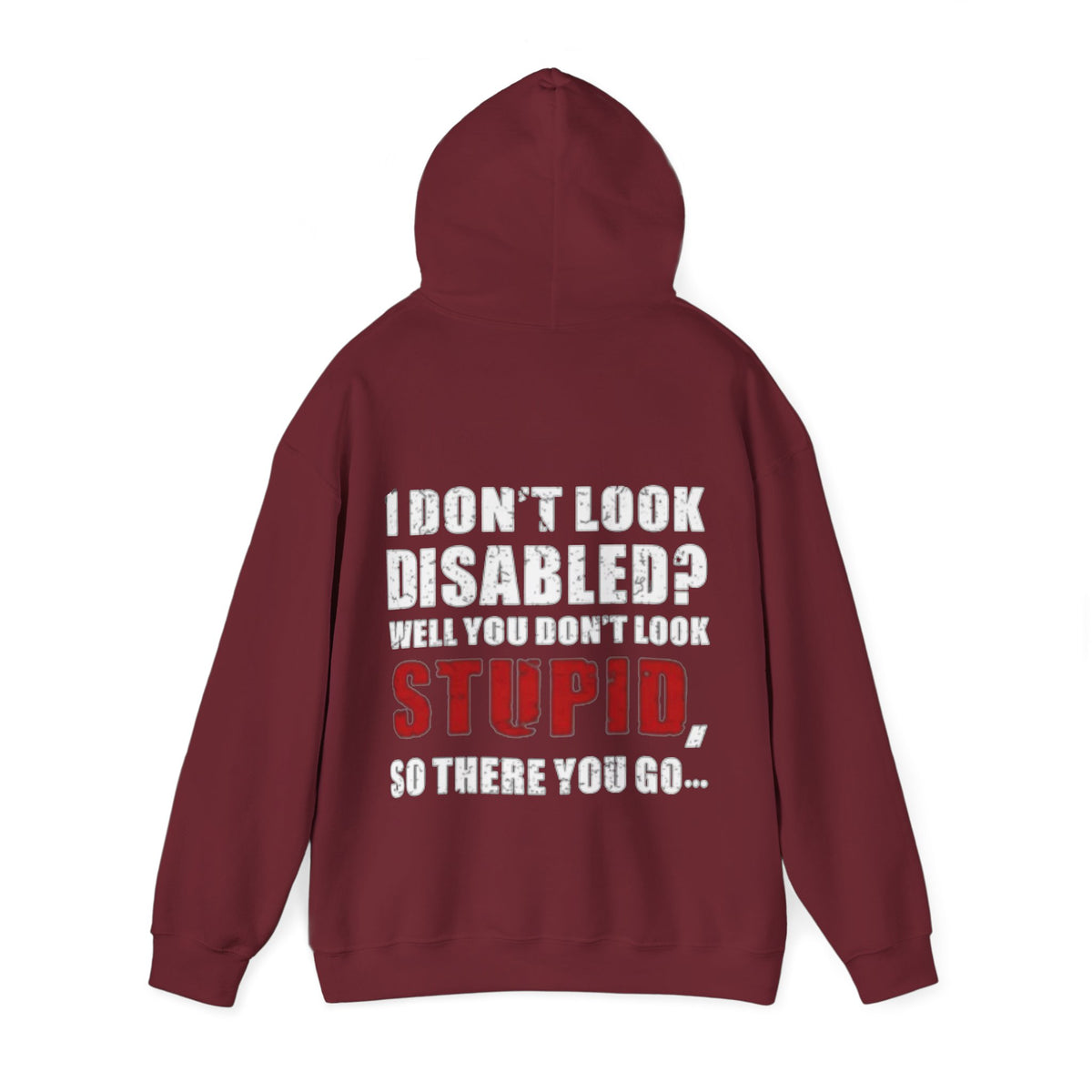 Adult Hoodie — “I Don’t Look Disabled? When You Don’t Look STUPID” Graphic Back Print