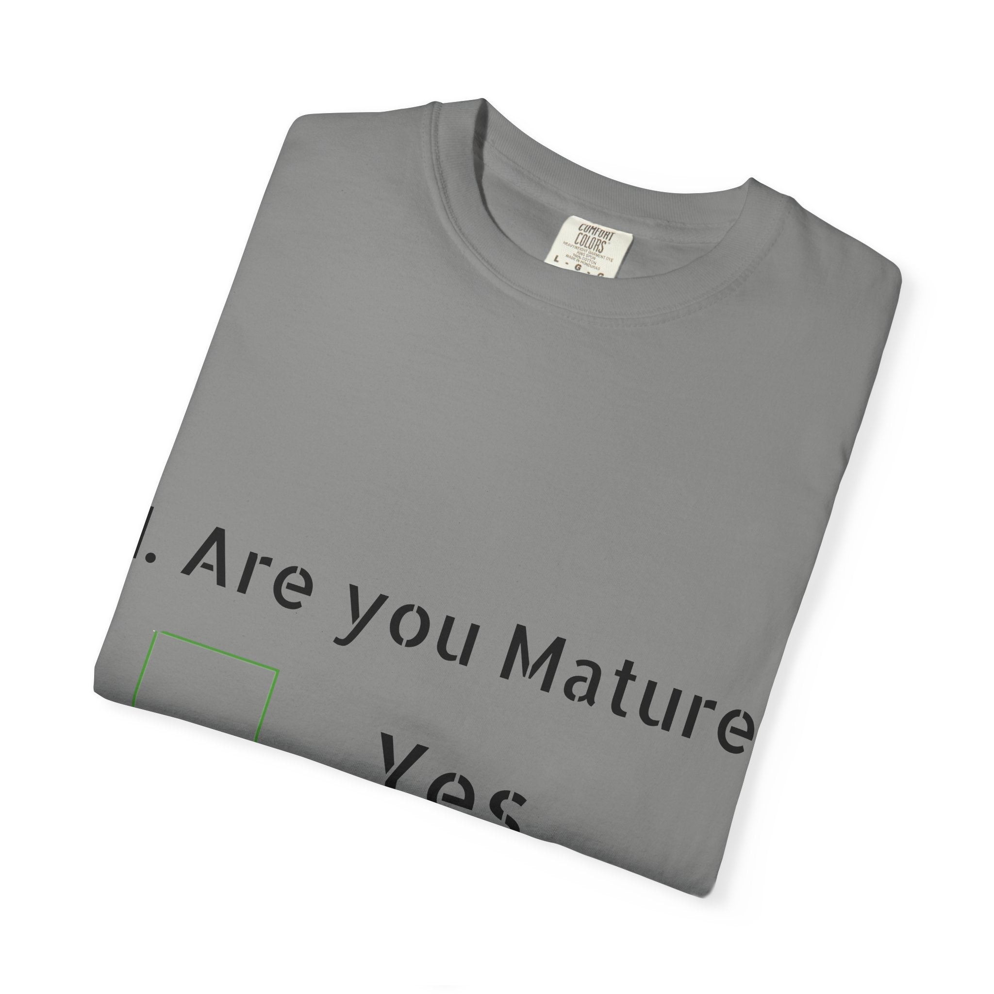 Adult T-Shirt — Funny "Are You Mature?" Checkbox Graphic Tee