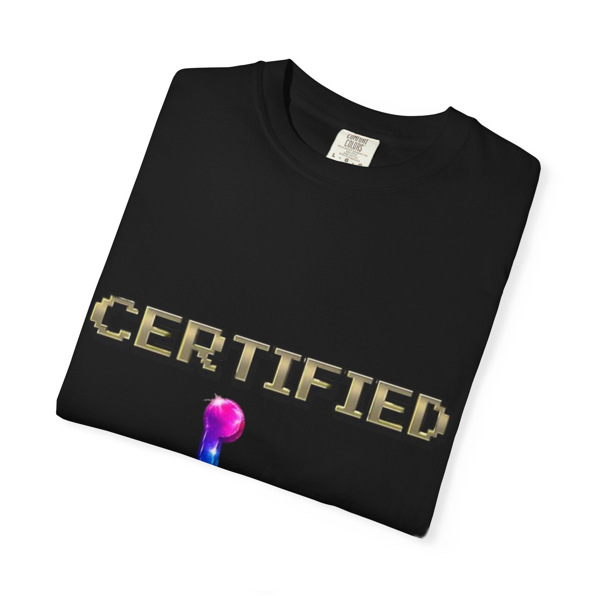 Certified Stunt Man T-Shirt — Rainbow Wheelchair Adult Tee