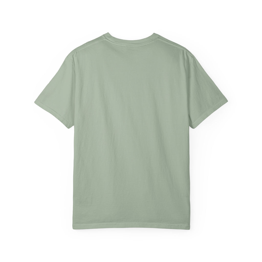 It Seemed A Good Idea At The Time Adult T-Shirt