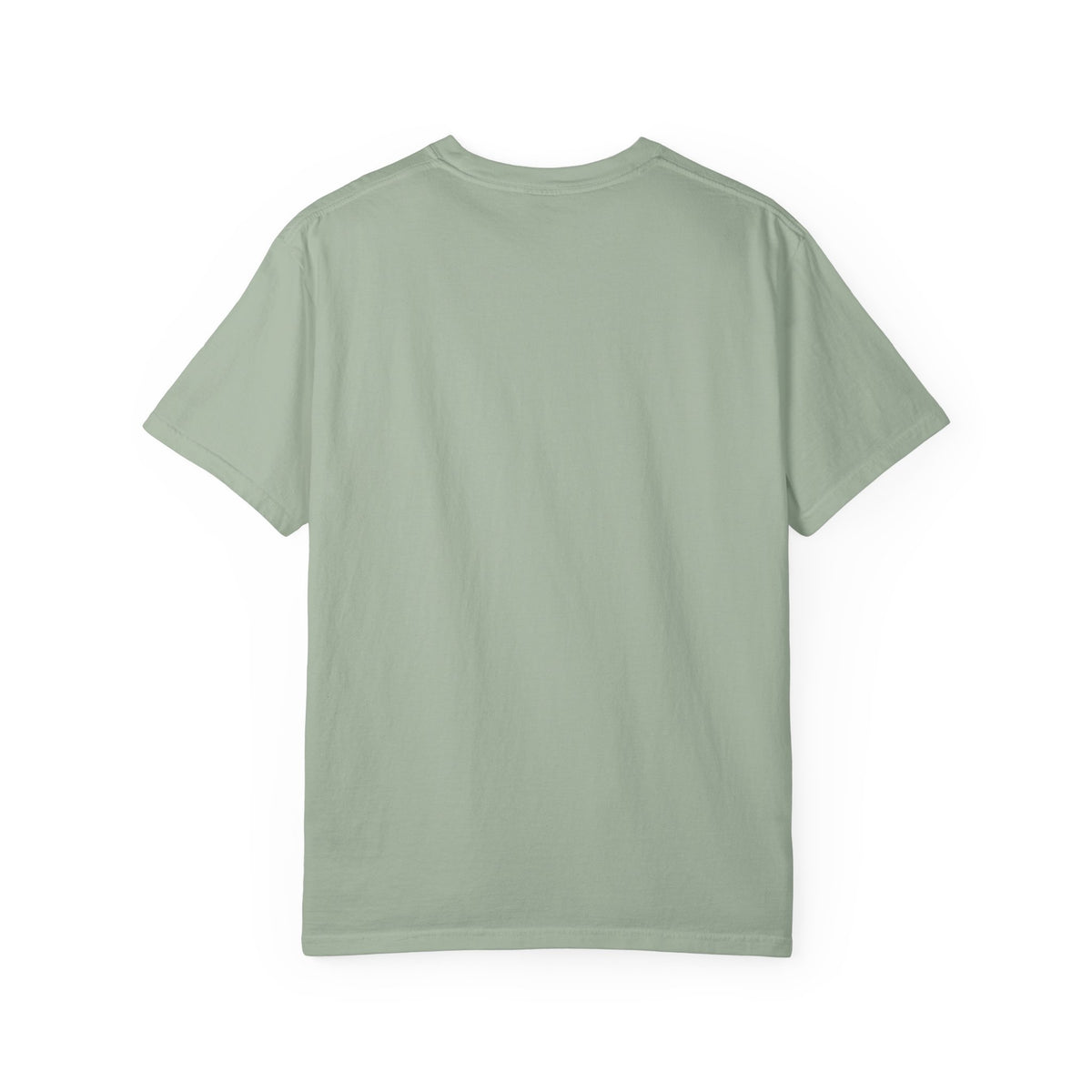 It Seemed A Good Idea At The Time Adult T-Shirt