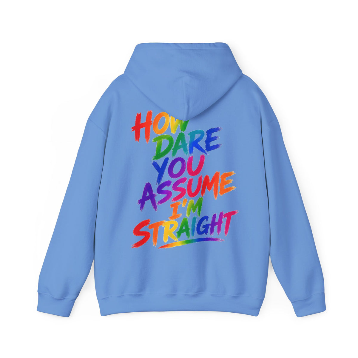 How Dare You Assume I'm Straight Adult Hoodie — Rainbow Pride Statement Sweatshirt