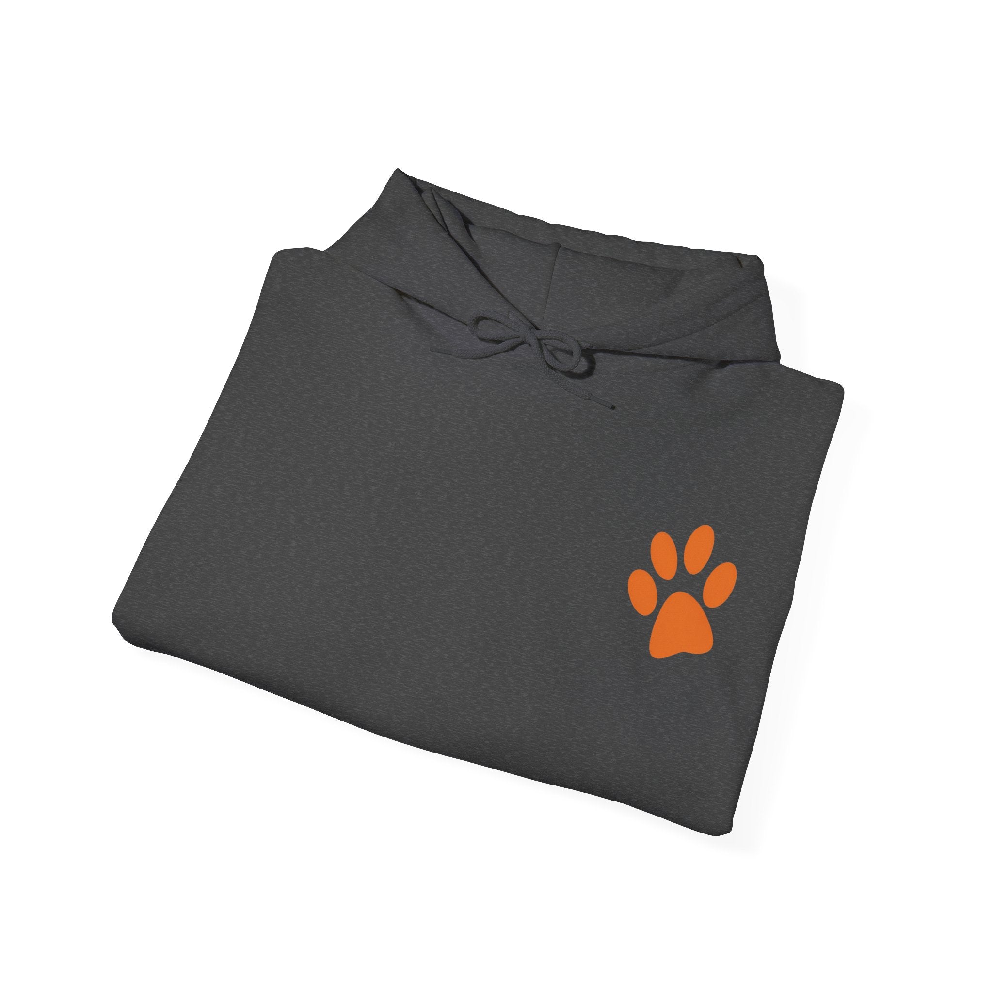 Sleeping Dog Illustration Adult Hoodie | "It's a Dog's Life" Graphic Hoodie