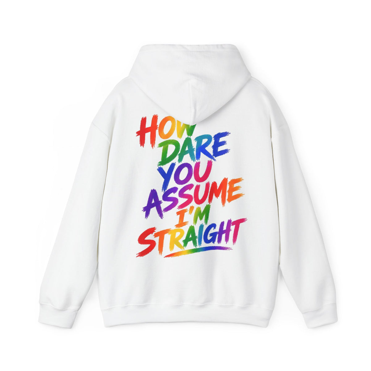 How Dare You Assume I'm Straight Adult Hoodie — Rainbow Pride Statement Sweatshirt