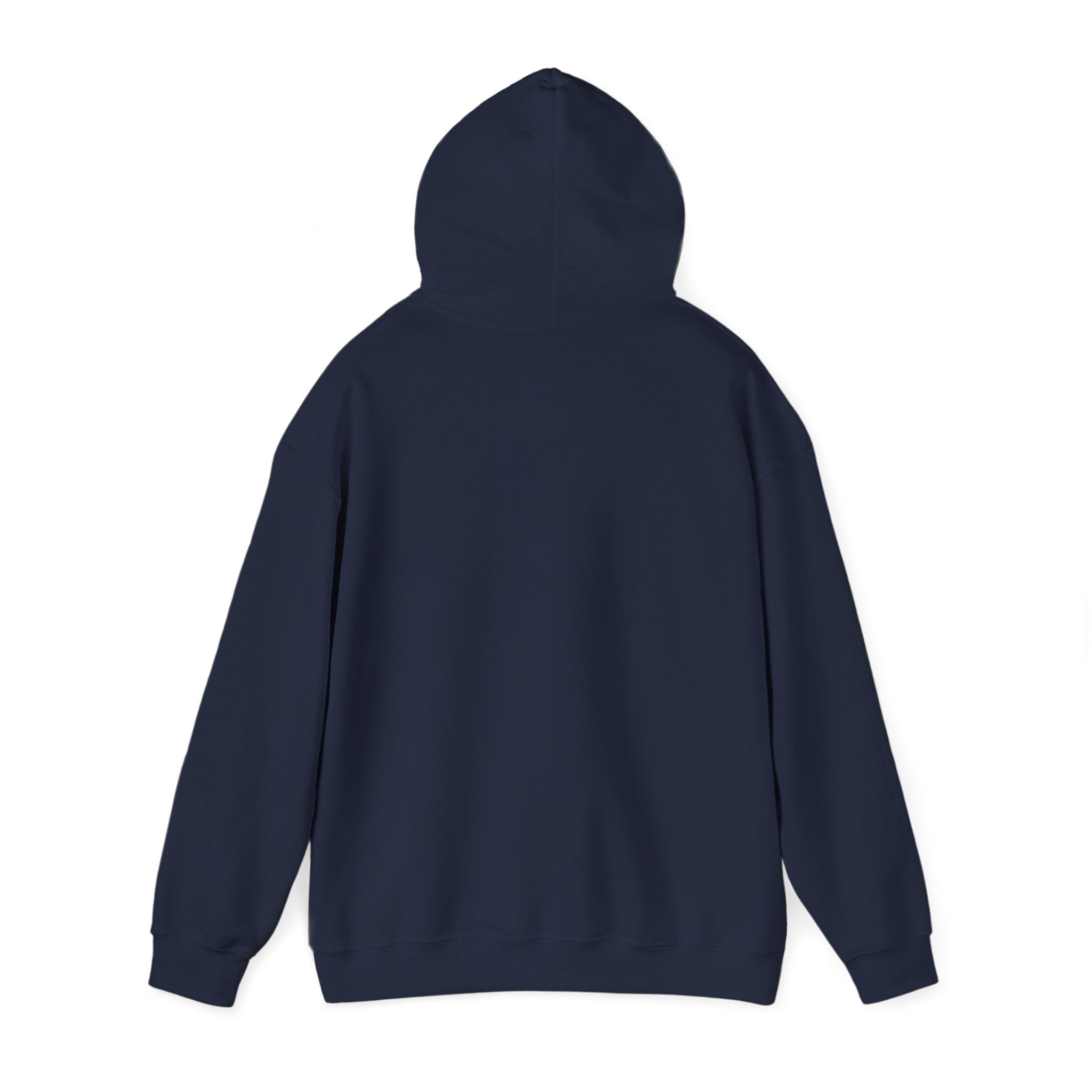 Adult Hoodie — 'It's How I Roll' Wheelchair Pride Graphic Hoodie
