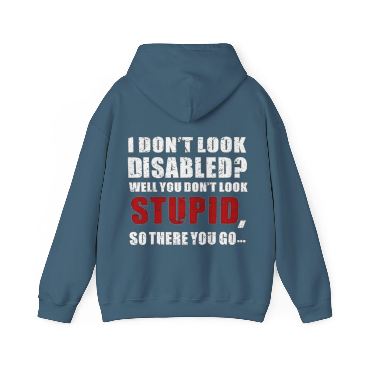 Adult Hoodie — “I Don’t Look Disabled? When You Don’t Look STUPID” Graphic Back Print