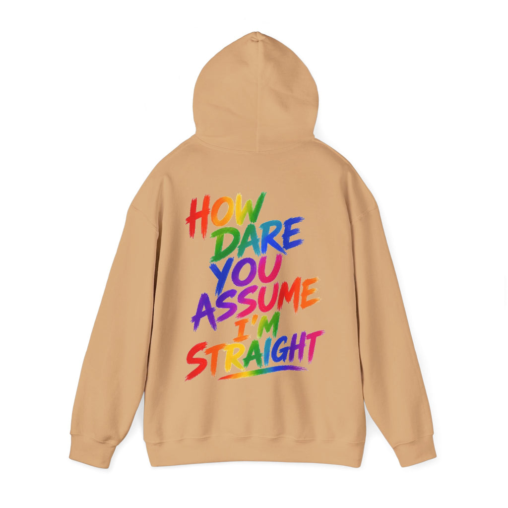 How Dare You Assume I'm Straight Adult Hoodie — Rainbow Pride Statement Sweatshirt