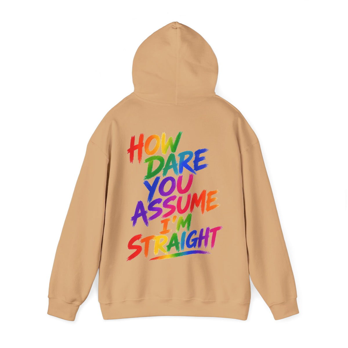 How Dare You Assume I'm Straight Adult Hoodie — Rainbow Pride Statement Sweatshirt