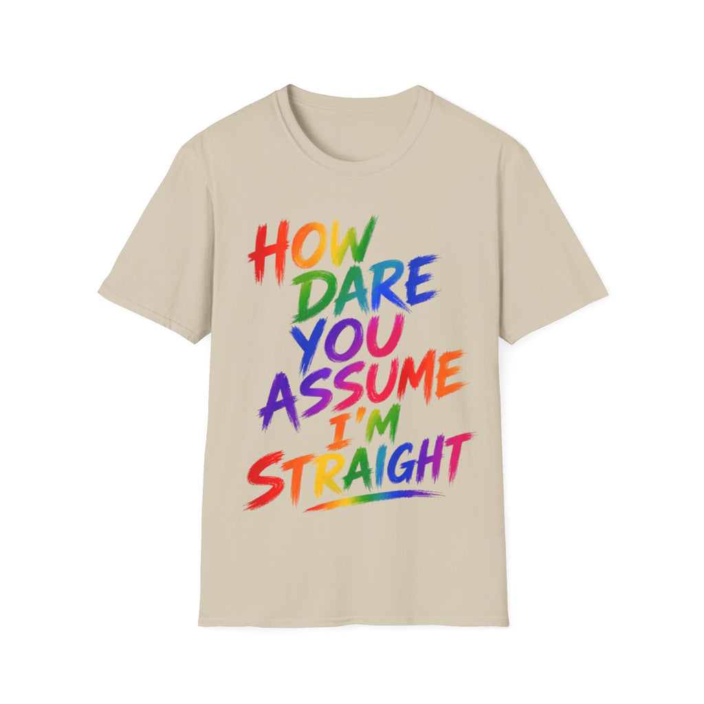 How Dare You Assume I’m Straight Adult T-Shirt — Rainbow Pride Graphic Tee