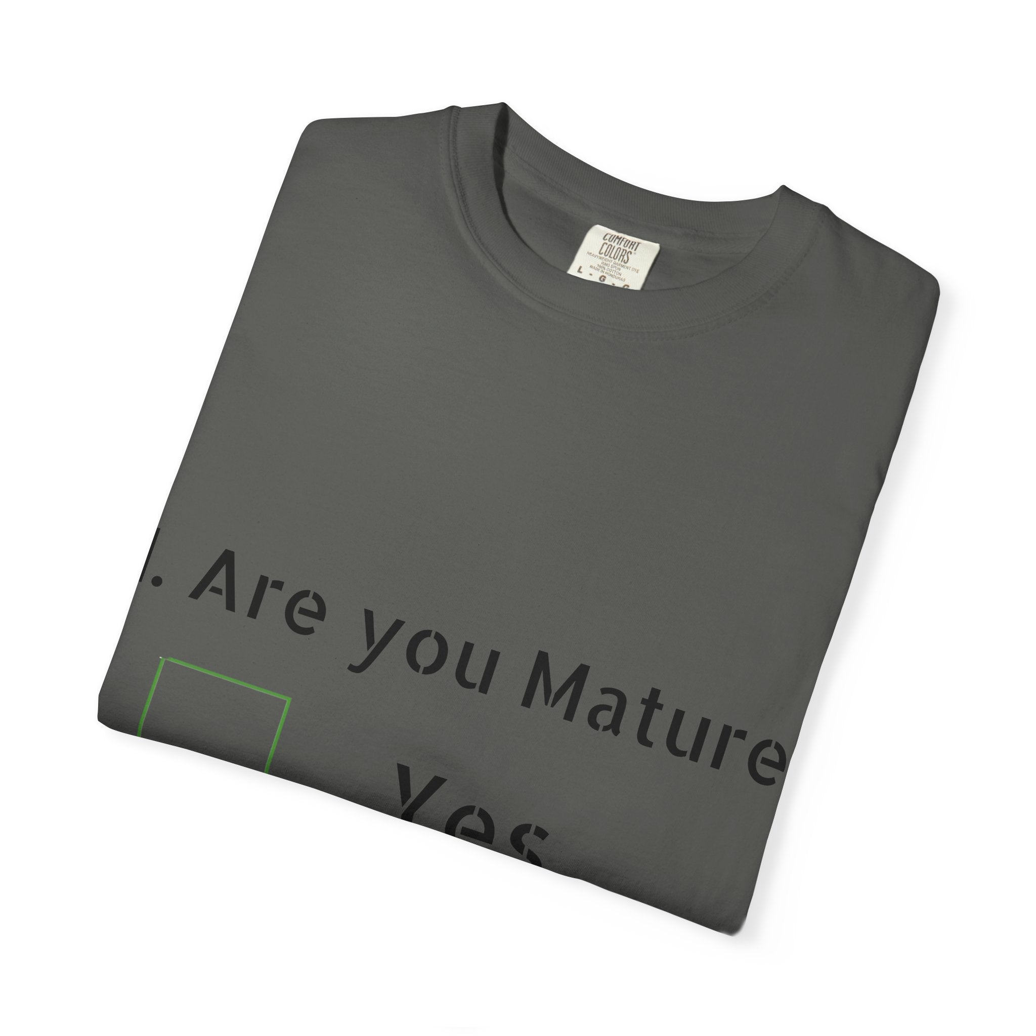 Adult T-Shirt — Funny "Are You Mature?" Checkbox Graphic Tee