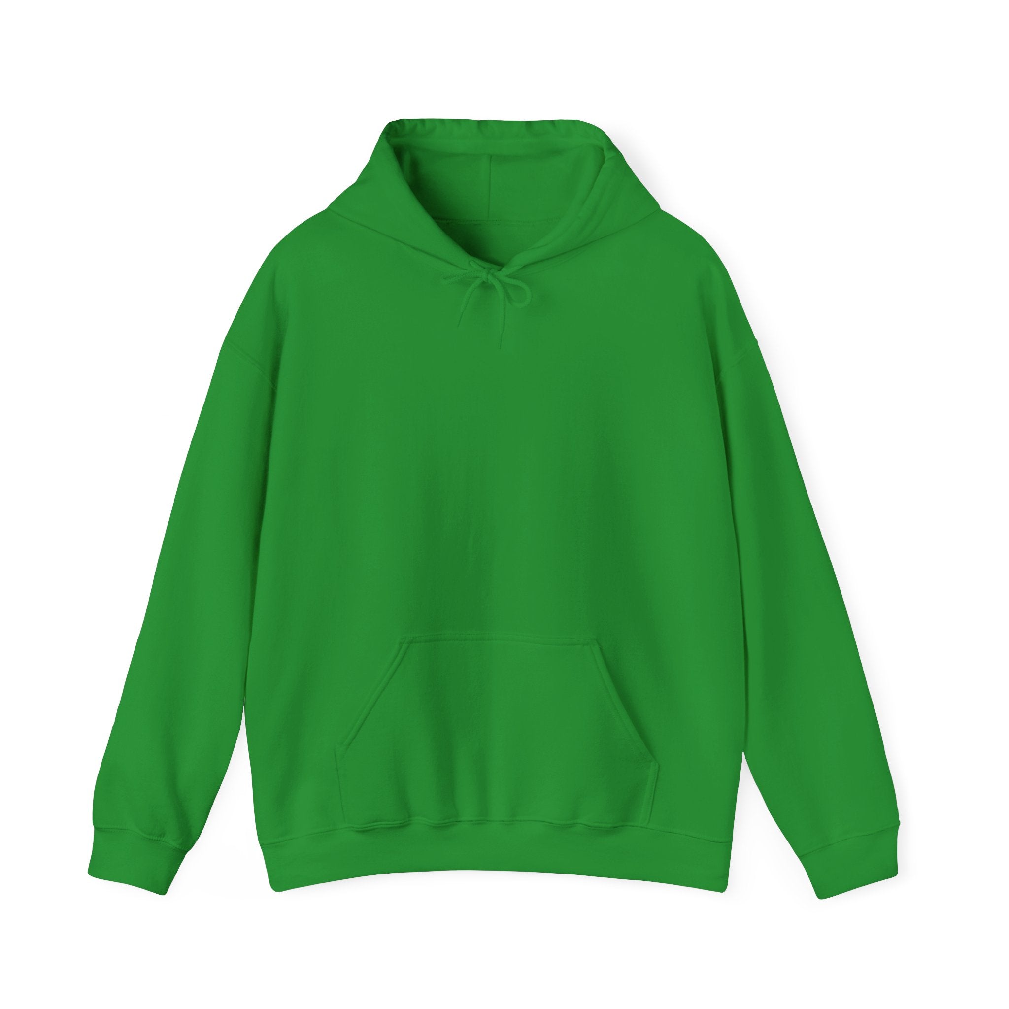 I'm Not Arguing Adult Hoodie — Funny "I'm Just Explaining Why I'm Right" Graphic Hoodie