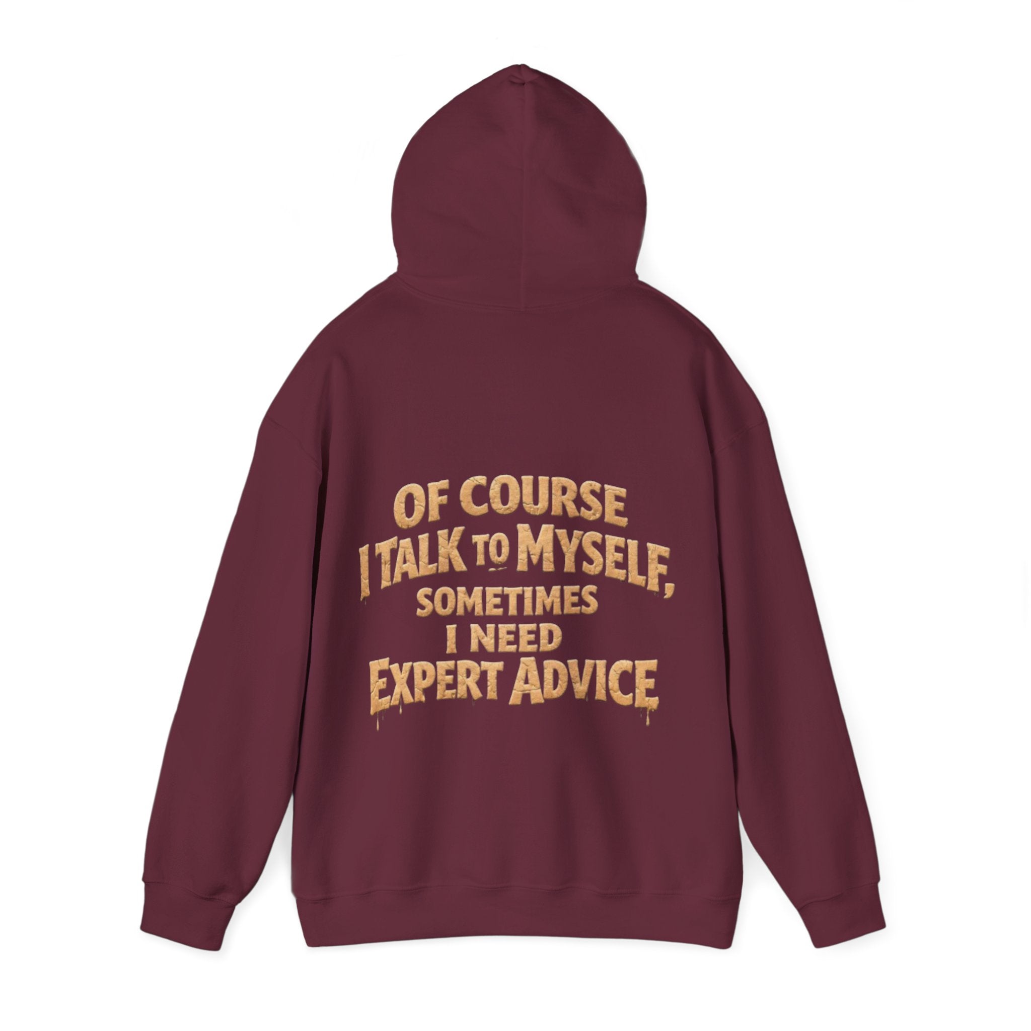 Funny "I Talk to Myself" Adult Hoodie — Expert Advice Graphic Sweatshirt
