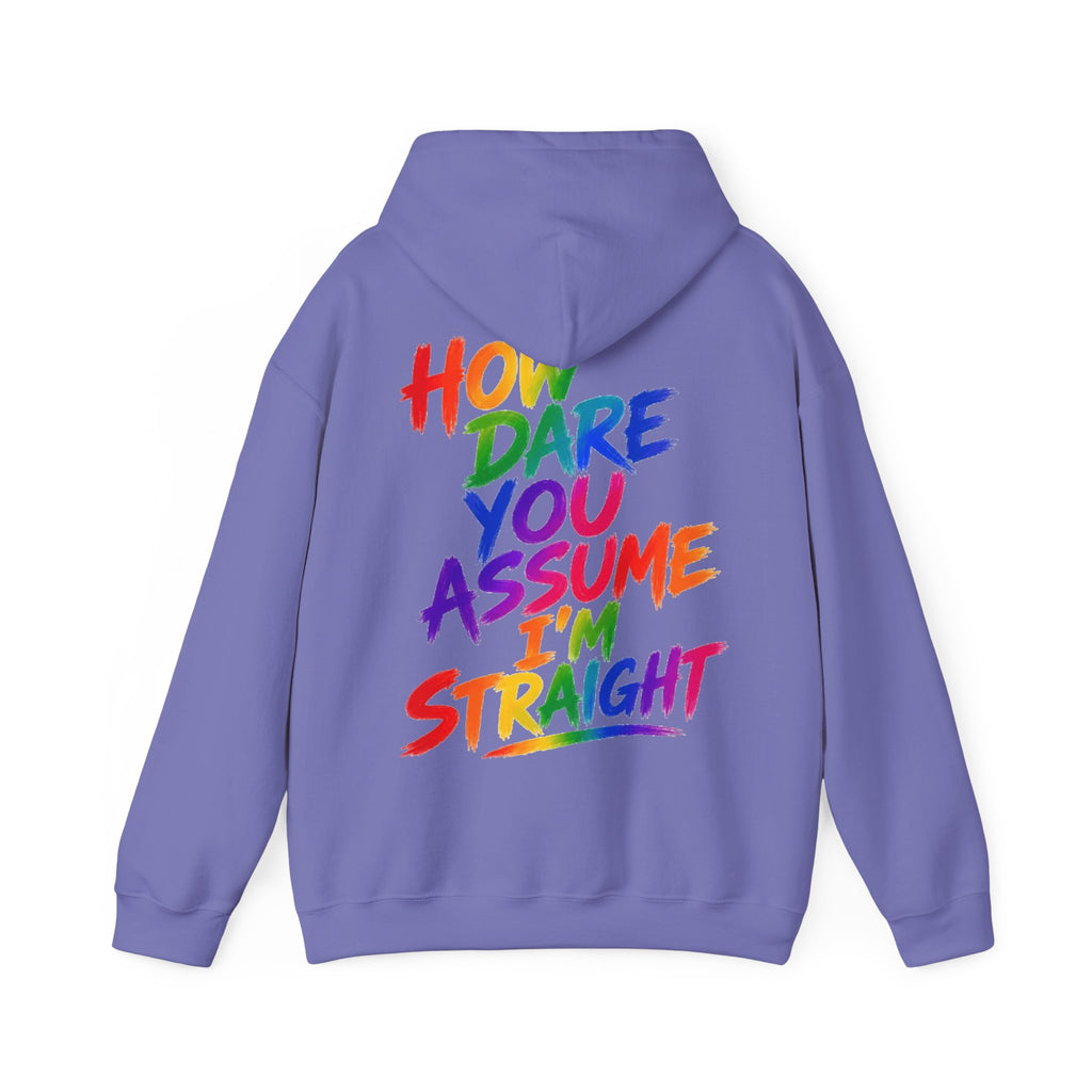 How Dare You Assume I'm Straight Adult Hoodie — Rainbow Pride Statement Sweatshirt